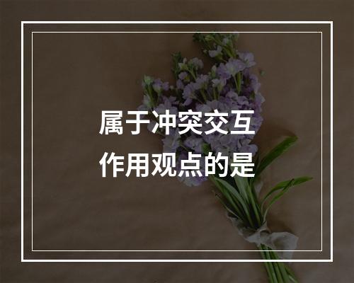 属于冲突交互作用观点的是