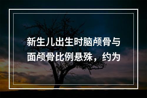 新生儿出生时脑颅骨与面颅骨比例悬殊，约为