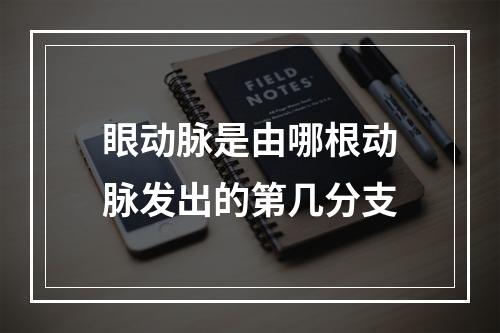 眼动脉是由哪根动脉发出的第几分支