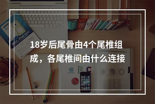 18岁后尾骨由4个尾椎组成，各尾椎间由什么连接