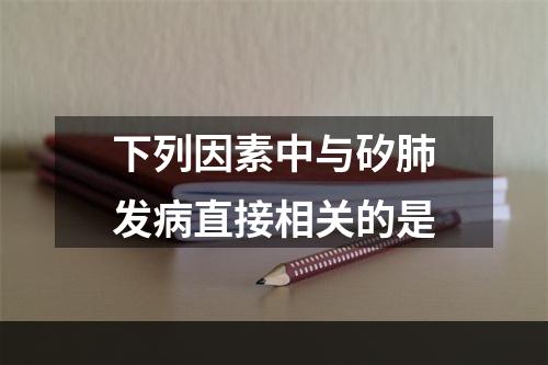 下列因素中与矽肺发病直接相关的是