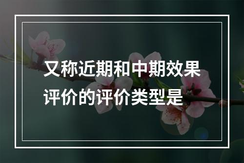 又称近期和中期效果评价的评价类型是