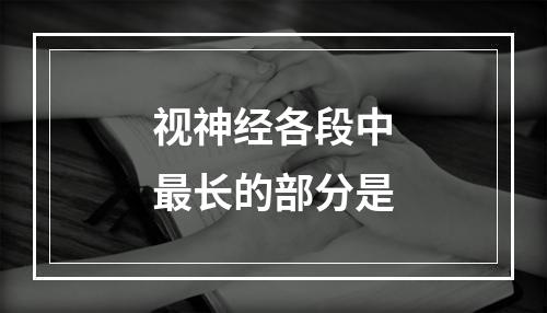 视神经各段中最长的部分是