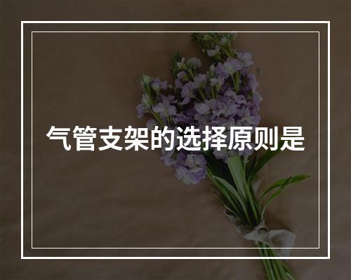 气管支架的选择原则是