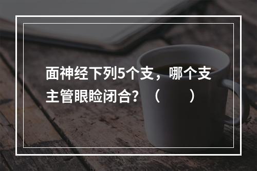 面神经下列5个支，哪个支主管眼睑闭合？（　　）