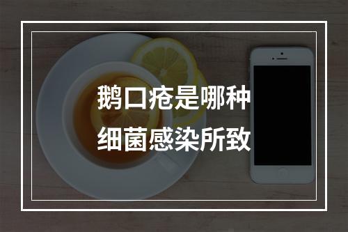 鹅口疮是哪种细菌感染所致