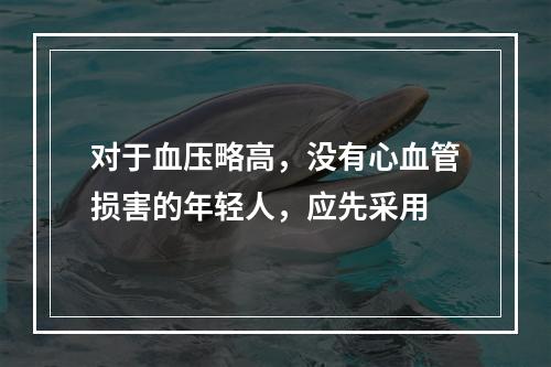 对于血压略高，没有心血管损害的年轻人，应先采用