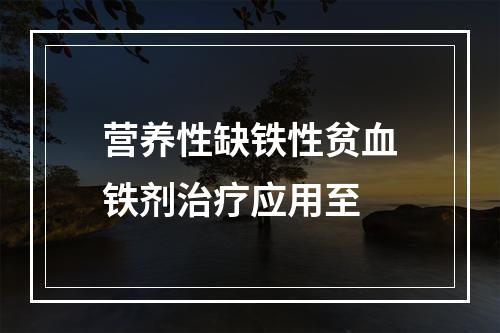 营养性缺铁性贫血铁剂治疗应用至