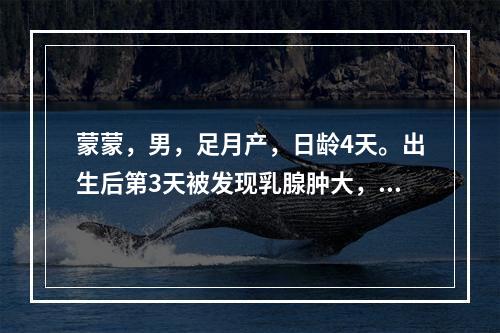 蒙蒙，男，足月产，日龄4天。出生后第3天被发现乳腺肿大，应采