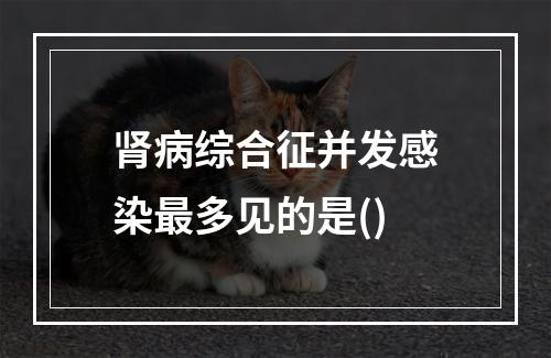 肾病综合征并发感染最多见的是()