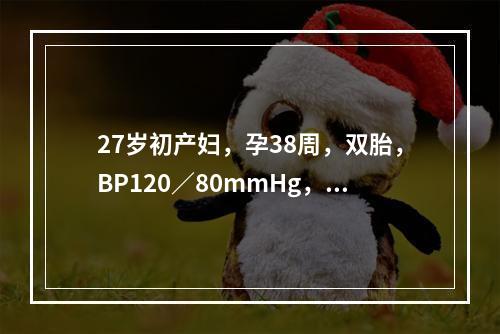 27岁初产妇，孕38周，双胎，BP120／80mmHg，P8