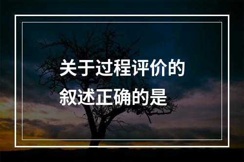 关于过程评价的叙述正确的是