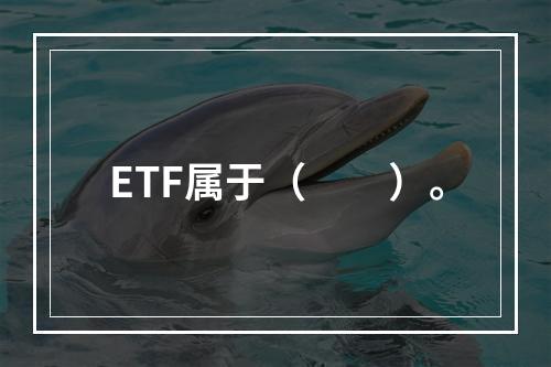 ETF属于（　　）。