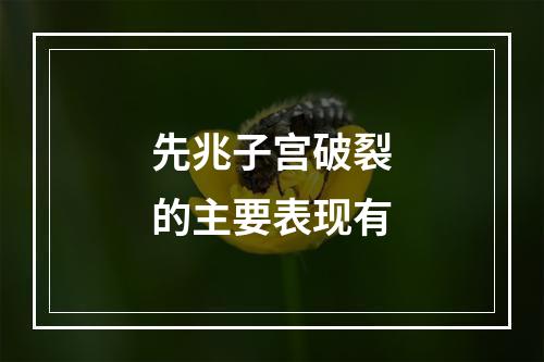 先兆子宫破裂的主要表现有