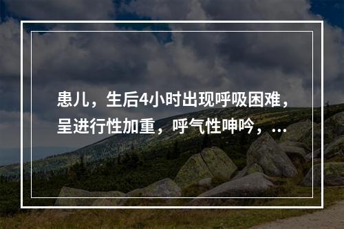 患儿，生后4小时出现呼吸困难，呈进行性加重，呼气性呻吟，出现