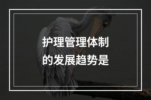 护理管理体制的发展趋势是