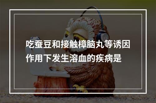 吃蚕豆和接触樟脑丸等诱因作用下发生溶血的疾病是