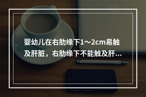 婴幼儿在右肋缘下1～2cm易触及肝脏，右肋缘下不能触及肝脏的