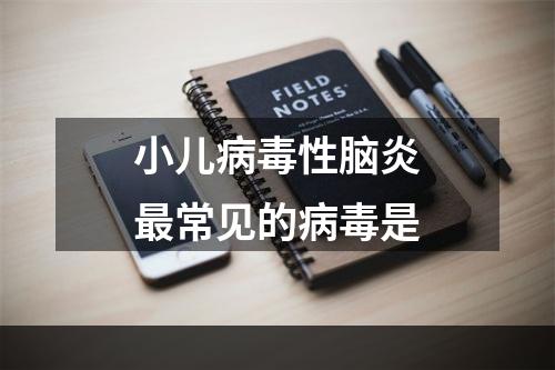 小儿病毒性脑炎最常见的病毒是