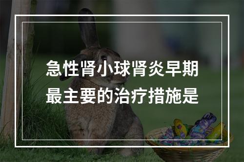 急性肾小球肾炎早期最主要的治疗措施是