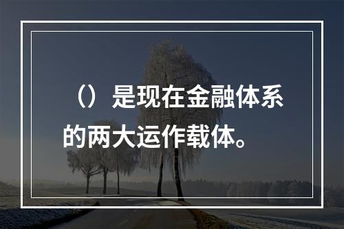 （）是现在金融体系的两大运作载体。