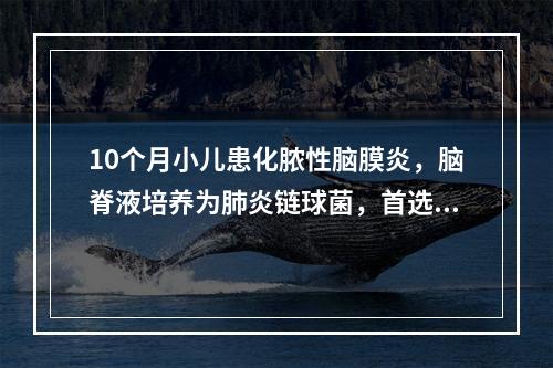 10个月小儿患化脓性脑膜炎，脑脊液培养为肺炎链球菌，首选药物