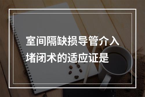 室间隔缺损导管介入堵闭术的适应证是