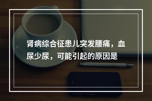 肾病综合征患儿突发腰痛，血尿少尿，可能引起的原因是