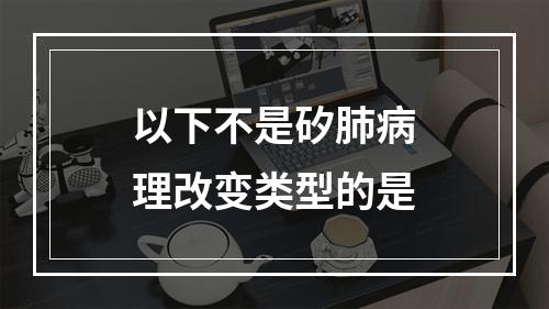 以下不是矽肺病理改变类型的是