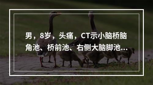 男，8岁，头痛，CT示小脑桥脑角池、桥前池、右侧大脑脚池、脚