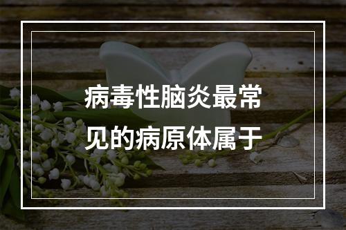 病毒性脑炎最常见的病原体属于