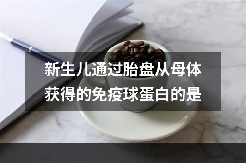 新生儿通过胎盘从母体获得的免疫球蛋白的是