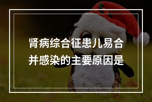 肾病综合征患儿易合并感染的主要原因是