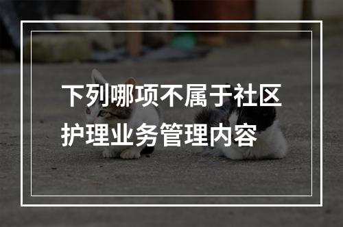 下列哪项不属于社区护理业务管理内容