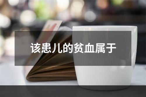 该患儿的贫血属于