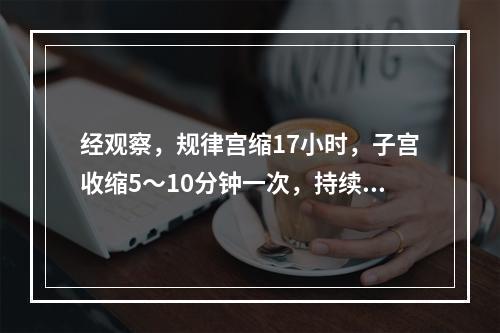 经观察，规律宫缩17小时，子宫收缩5～10分钟一次，持续30