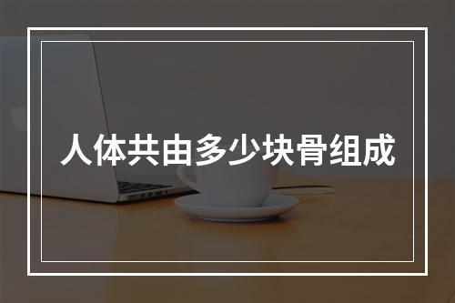 人体共由多少块骨组成