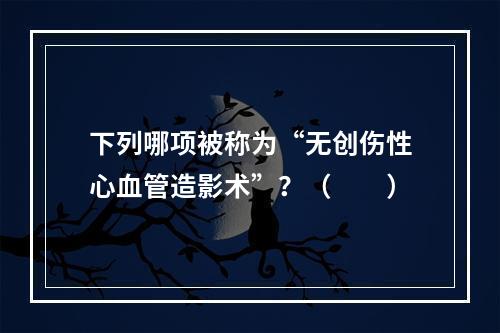 下列哪项被称为“无创伤性心血管造影术”？（　　）