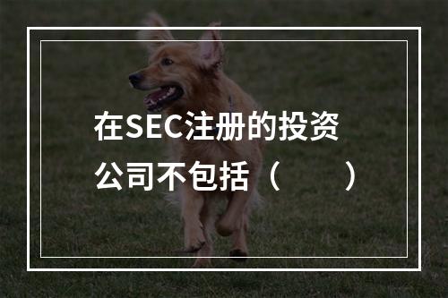 在SEC注册的投资公司不包括（　　）