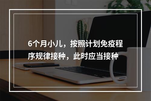 6个月小儿，按照计划免疫程序规律接种，此时应当接种