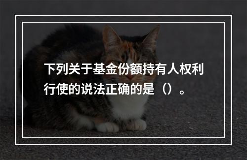 下列关于基金份额持有人权利行使的说法正确的是（）。