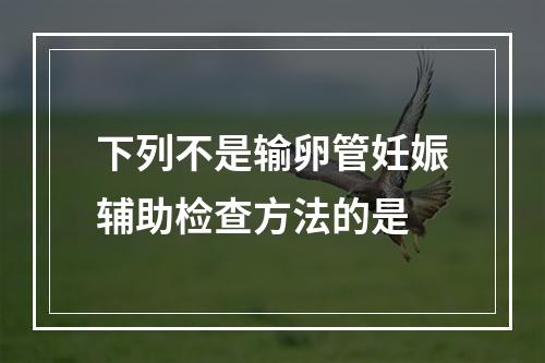 下列不是输卵管妊娠辅助检查方法的是