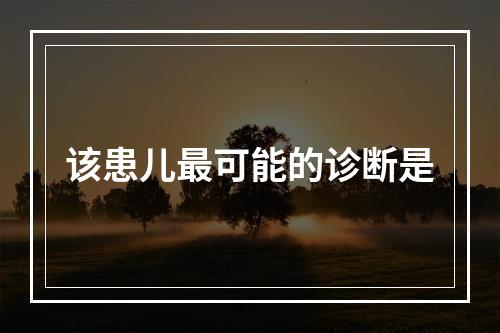 该患儿最可能的诊断是