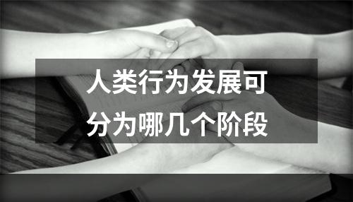 人类行为发展可分为哪几个阶段