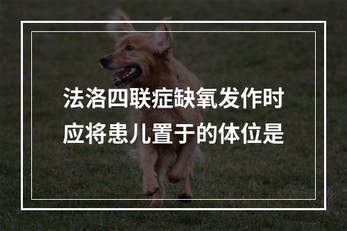 法洛四联症缺氧发作时应将患儿置于的体位是