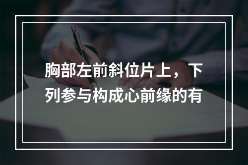 胸部左前斜位片上，下列参与构成心前缘的有