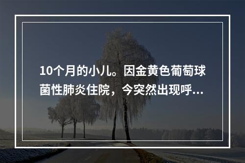 10个月的小儿。因金黄色葡萄球菌性肺炎住院，今突然出现呼吸急