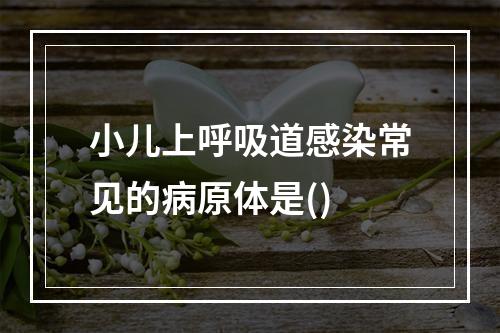 小儿上呼吸道感染常见的病原体是()