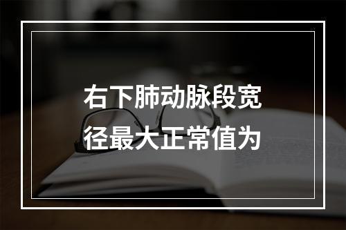 右下肺动脉段宽径最大正常值为