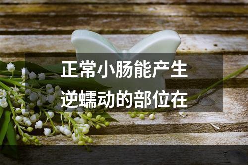 正常小肠能产生逆蠕动的部位在